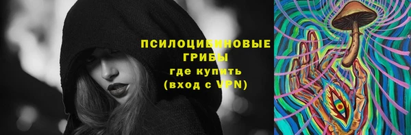мяу мяу мука Белокуриха