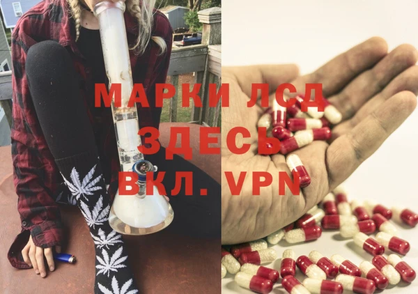 мяу мяу мука Белокуриха