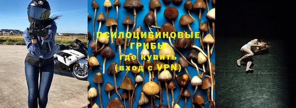 мяу мяу мука Белокуриха
