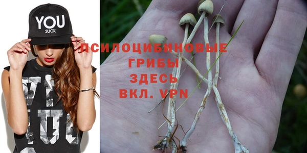 трава Белоозёрский